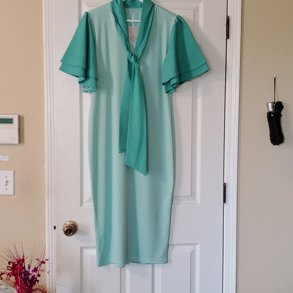 Dress (NEVER WORN)